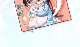 关于漫画的资料,漫画艺术的发展与魅力探索