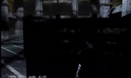 残忍视频,残忍视频背后的残酷现实