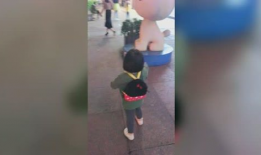 日本肉肉视频,揭秘独特美食文化魅力