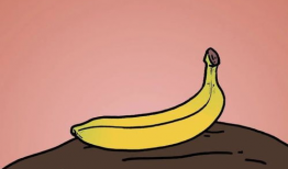 香蕉动漫,青春校园的甜蜜旋律